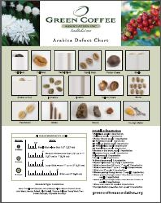 Coffee Defects Chart